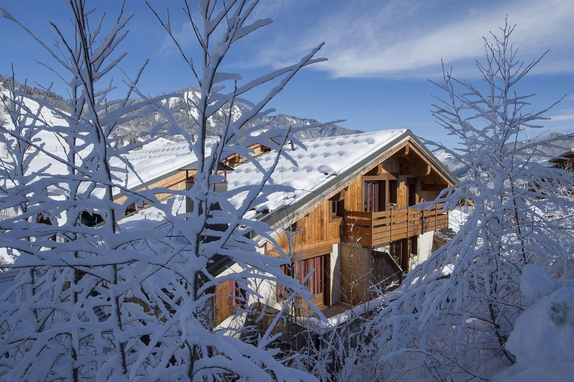 Residence Nemea Les Chalets Des Evettes Флюме Экстерьер фото